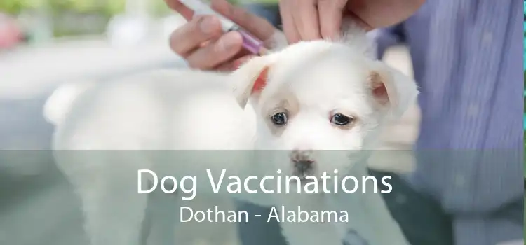 Dog Vaccinations Dothan - Alabama