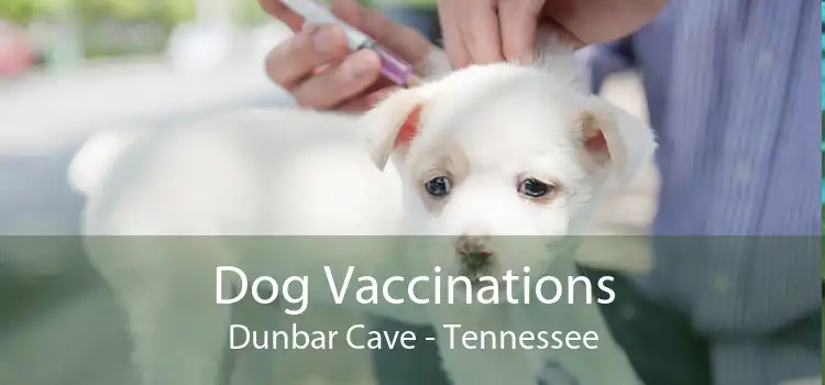 Dog Vaccinations Dunbar Cave - Tennessee