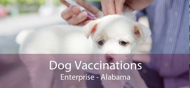 Dog Vaccinations Enterprise - Alabama