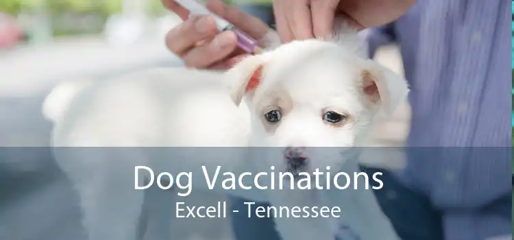 Dog Vaccinations Excell - Tennessee