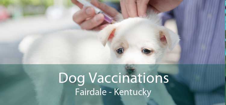 Dog Vaccinations Fairdale - Kentucky