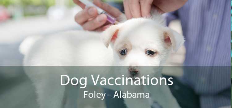 Dog Vaccinations Foley - Alabama