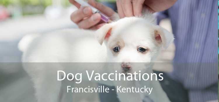 Dog Vaccinations Francisville - Kentucky