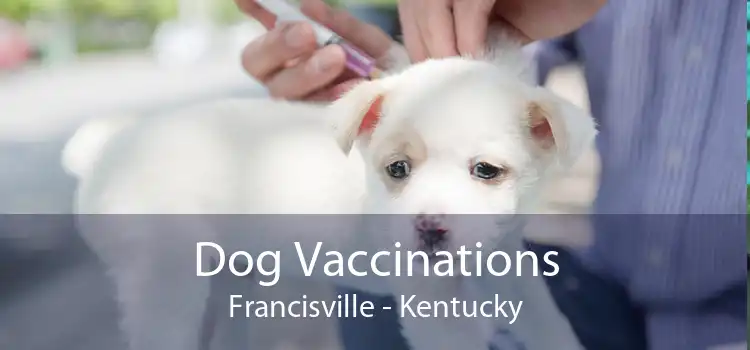 Dog Vaccinations Francisville - Kentucky