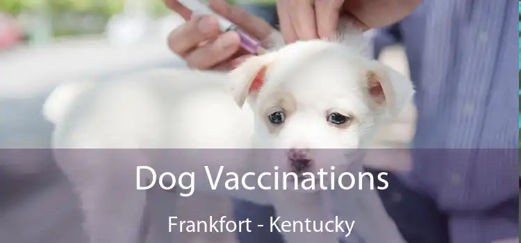 Dog Vaccinations Frankfort - Kentucky