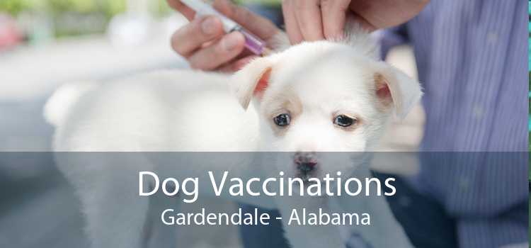 Dog Vaccinations Gardendale - Alabama