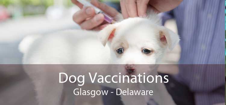 Dog Vaccinations Glasgow - Delaware