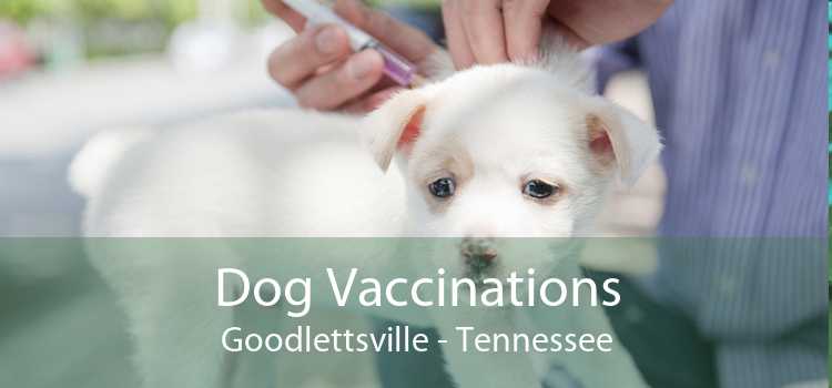 Dog Vaccinations Goodlettsville - Tennessee