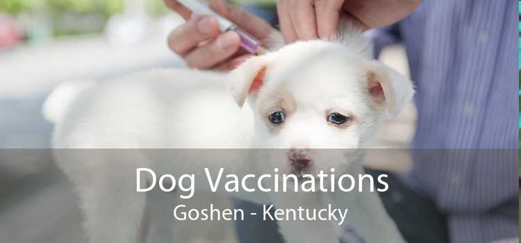 Dog Vaccinations Goshen - Kentucky