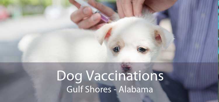 Dog Vaccinations Gulf Shores - Alabama