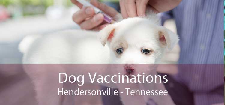 Dog Vaccinations Hendersonville - Tennessee