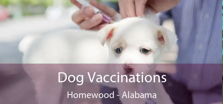 Dog Vaccinations Homewood - Alabama