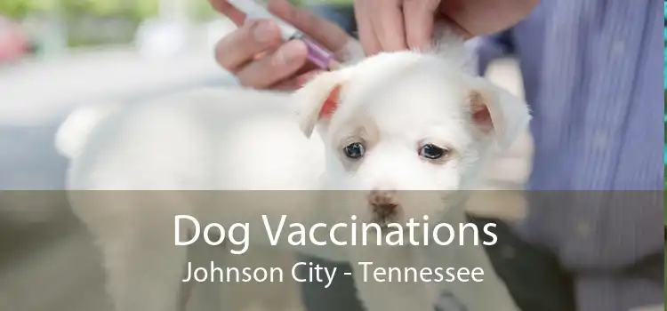 Dog Vaccinations Johnson City - Tennessee