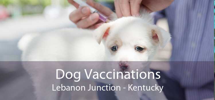 Dog Vaccinations Lebanon Junction - Kentucky