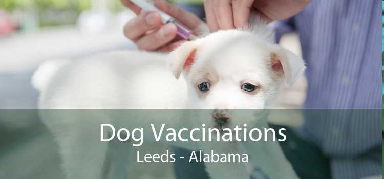 Dog Vaccinations Leeds - Alabama