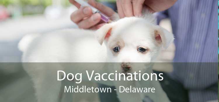 Dog Vaccinations Middletown - Delaware