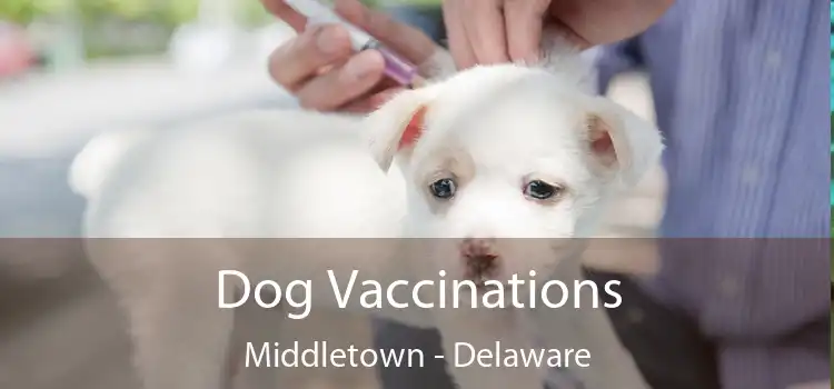 Dog Vaccinations Middletown - Delaware