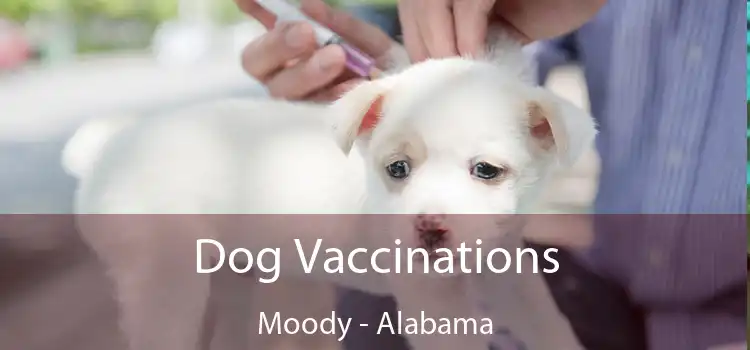 Dog Vaccinations Moody - Alabama