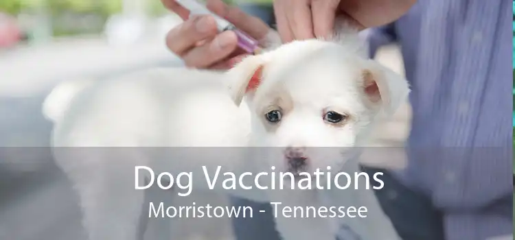Dog Vaccinations Morristown - Tennessee