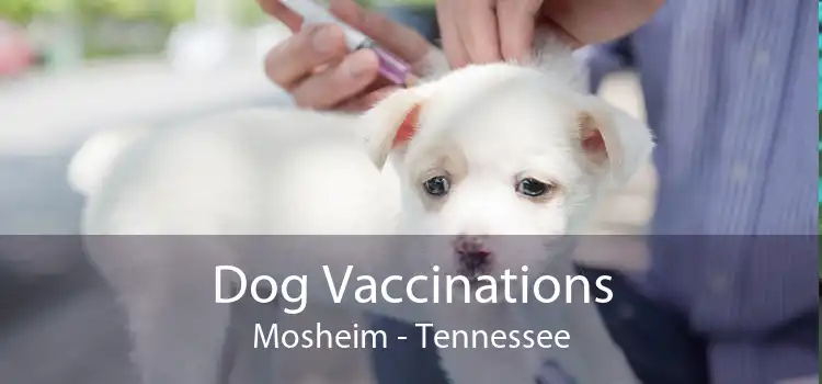 Dog Vaccinations Mosheim - Tennessee