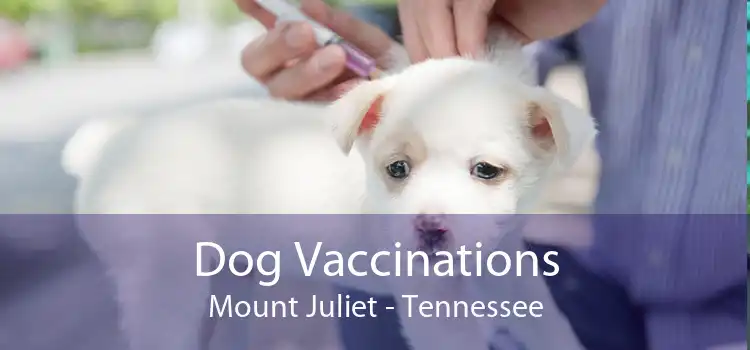 Dog Vaccinations Mount Juliet - Tennessee