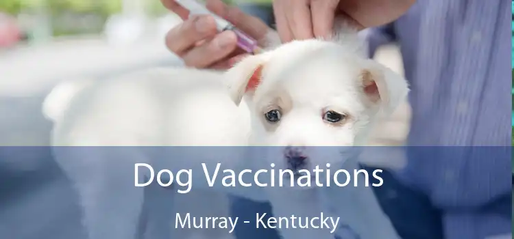 Dog Vaccinations Murray - Kentucky