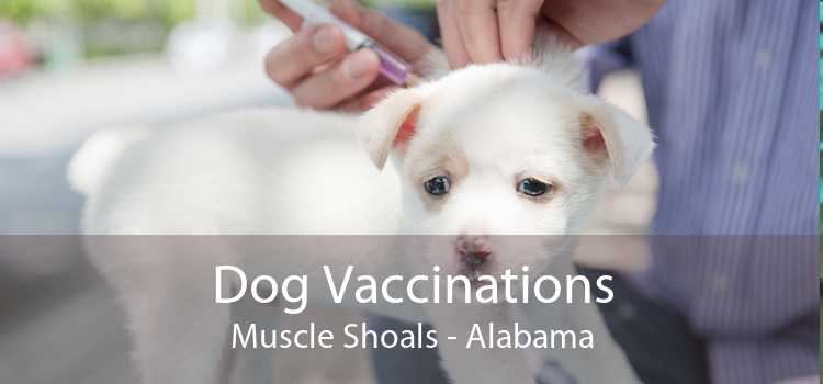 Dog Vaccinations Muscle Shoals - Alabama