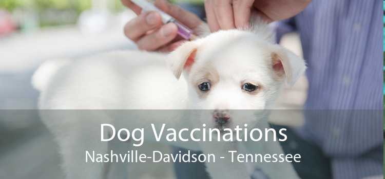 Dog Vaccinations Nashville-Davidson - Tennessee