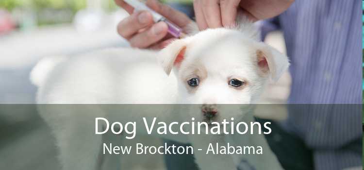 Dog Vaccinations New Brockton - Alabama