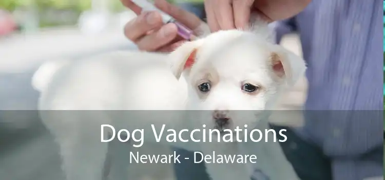 Dog Vaccinations Newark - Delaware
