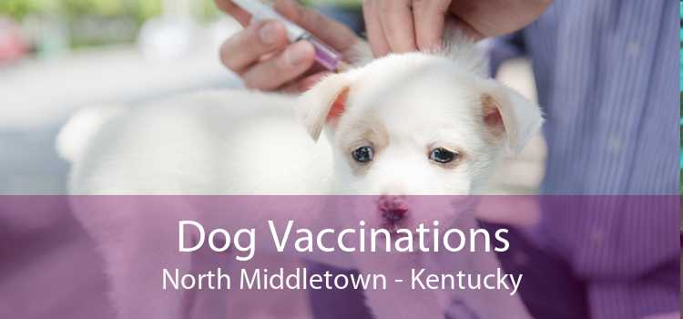 Dog Vaccinations North Middletown - Kentucky