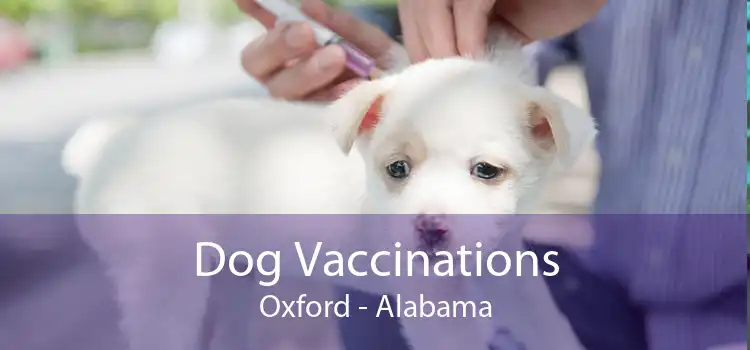 Dog Vaccinations Oxford - Alabama
