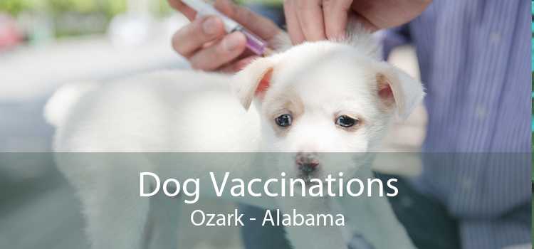 Dog Vaccinations Ozark - Alabama