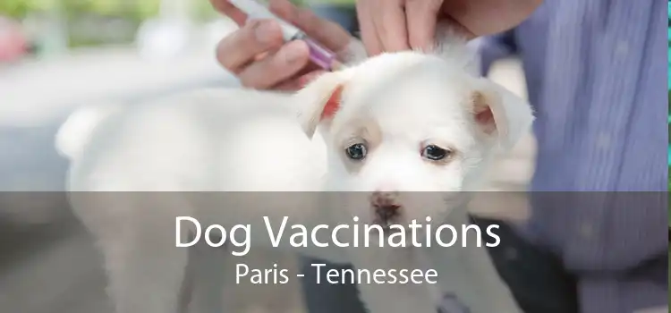 Dog Vaccinations Paris - Tennessee
