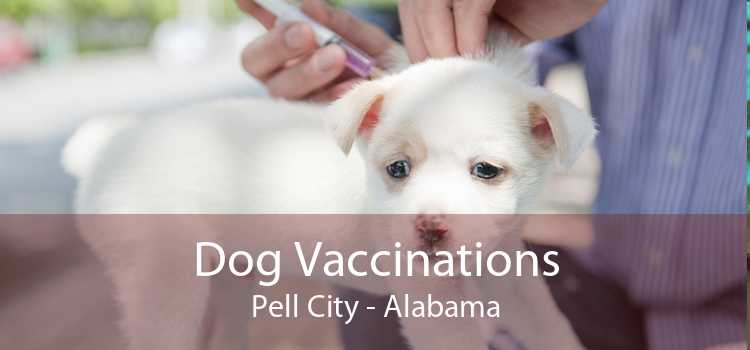 Dog Vaccinations Pell City - Alabama