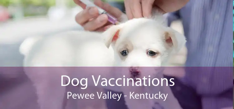 Dog Vaccinations Pewee Valley - Kentucky