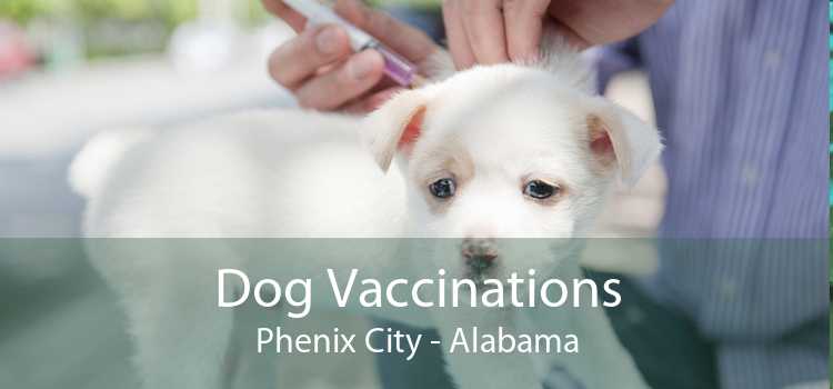 Dog Vaccinations Phenix City - Alabama