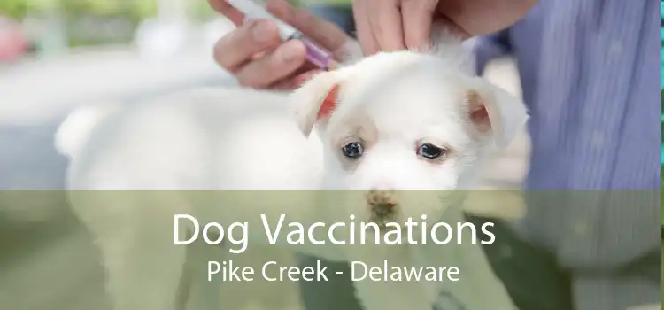 Dog Vaccinations Pike Creek - Delaware