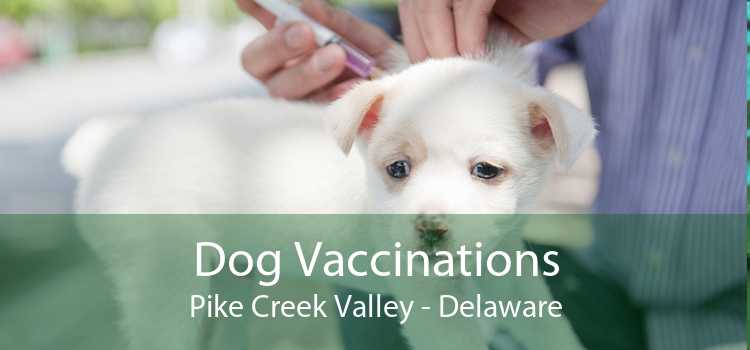 Dog Vaccinations Pike Creek Valley - Delaware