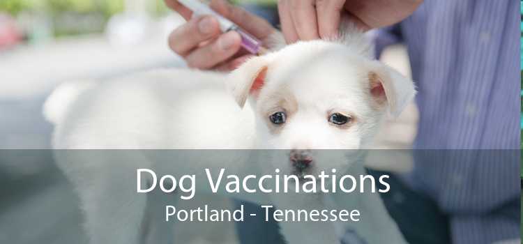 Dog Vaccinations Portland - Tennessee