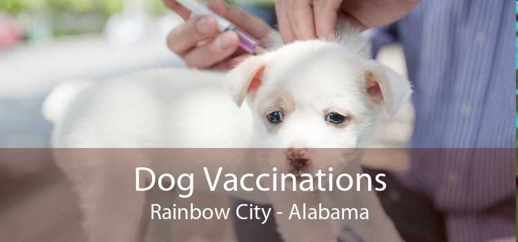 Dog Vaccinations Rainbow City - Alabama