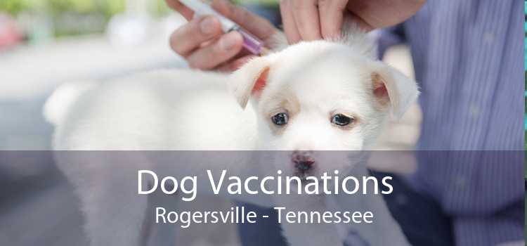 Dog Vaccinations Rogersville - Tennessee