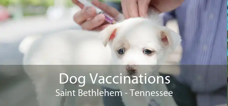 Dog Vaccinations Saint Bethlehem - Tennessee