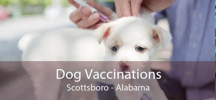 Dog Vaccinations Scottsboro - Alabama