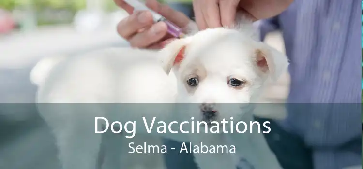 Dog Vaccinations Selma - Alabama