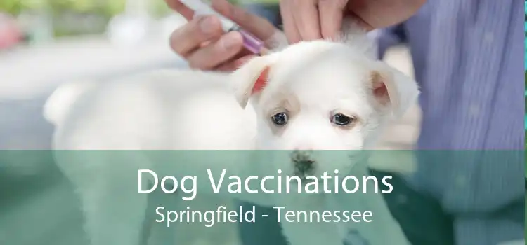Dog Vaccinations Springfield - Tennessee