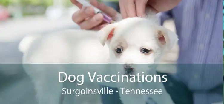 Dog Vaccinations Surgoinsville - Tennessee