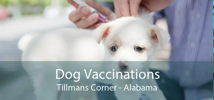 Dog Vaccinations Tillmans Corner - Alabama