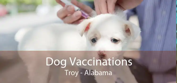 Dog Vaccinations Troy - Alabama