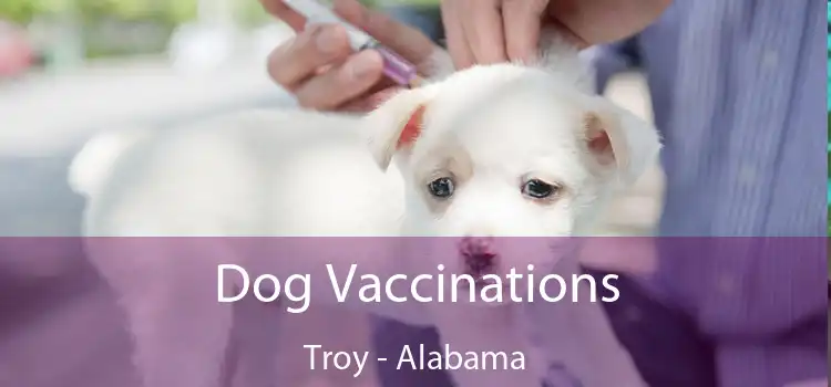 Dog Vaccinations Troy - Alabama